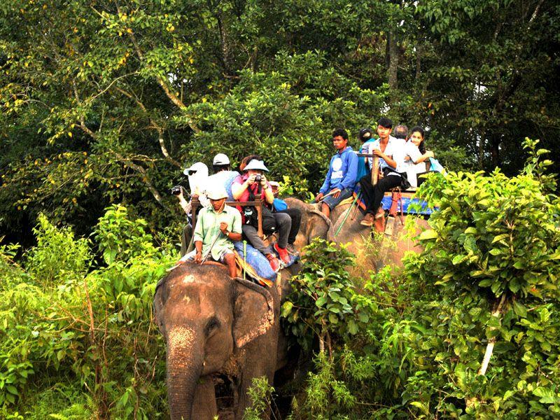 Elephant Riding / Safari The elephant safari is one of the best ways to spot wildlife from up close.