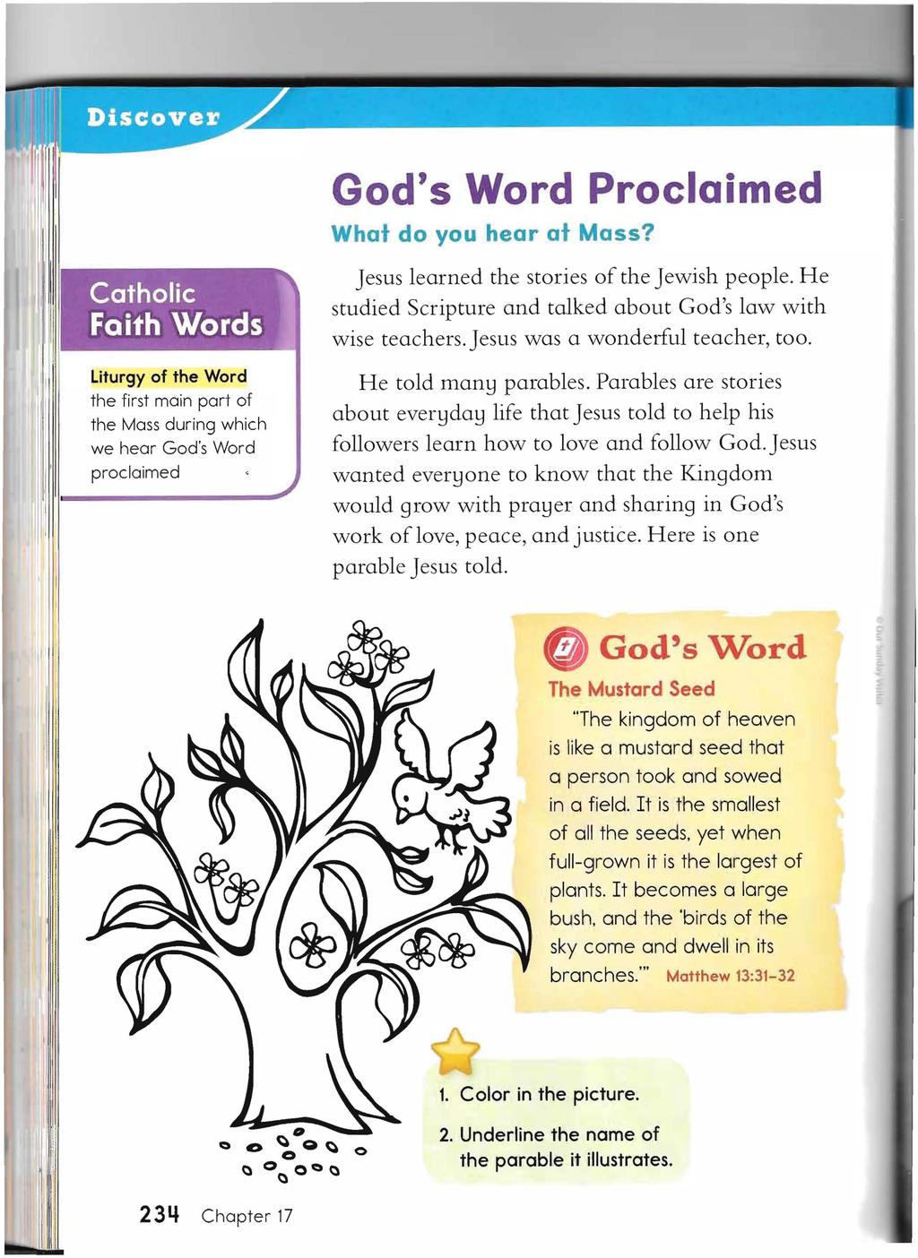 God's Word Proclaimed What do you hear at Mass?. \. Catholic Faith 'Words, ~.... ~ -.-.~' -, ~- ----~.;.