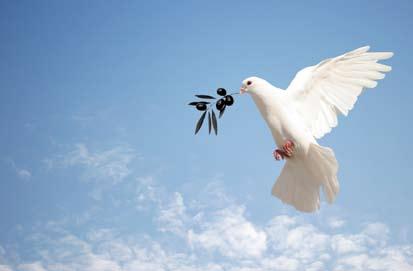 Prayer and Spirituality The Dove with the Olive Branch These symbols in the Noah story are essential ingredients as we offer of a series of reflections on peace and hope.