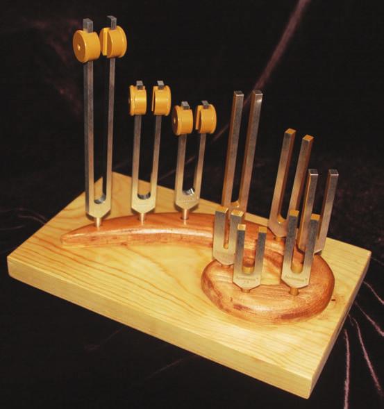 THE FIBONACCI TUNING FORKS We Are All Students of Sacred Geometry Evidence of Sacred Geometry surrounds us.