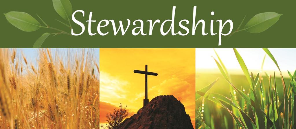 Treasure: Fiscal Year July 2018 - June 2019 Week ending: September 9, 2018 (current fiscal year) STEWARDSHIP OF DISCIPLES Actual Adult Giving Envelopes $ 4,206.