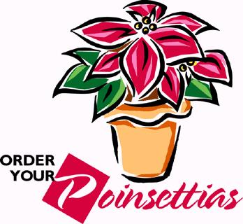 December: Poinsettias - only $8.00 each!