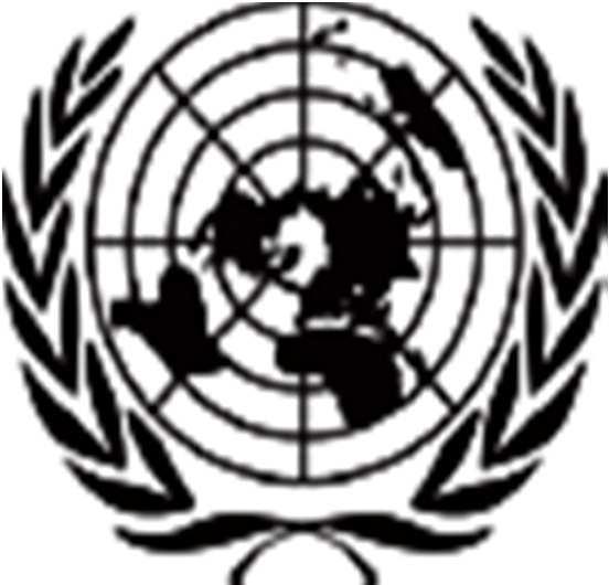 NATIONS UNIES HAUT COMMISSARIAT AUX DROITS DE L HOMME UNITED NATIONS HIGH COMMISSIONER FOR HUMAN RIGHTS Tel: +41-22-917 9989 Fax +41-22-917 9007 Independent International Commission of Inquiry on the