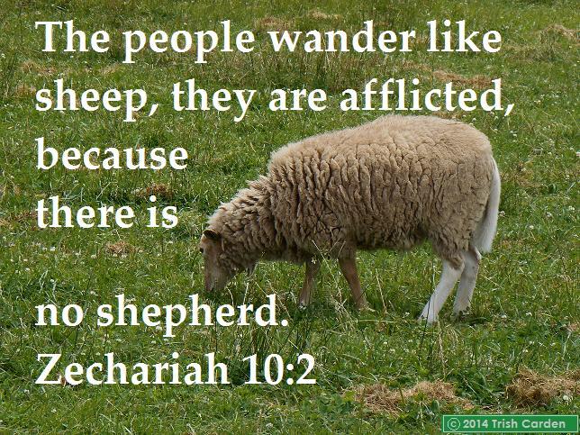 ZECHARIAH Chapters 10 to 14 Please read Zechariah Chapter XX and answer these questions: Chapter 10 Messiah, the Shepherd [10A] Where does each the rain come from?