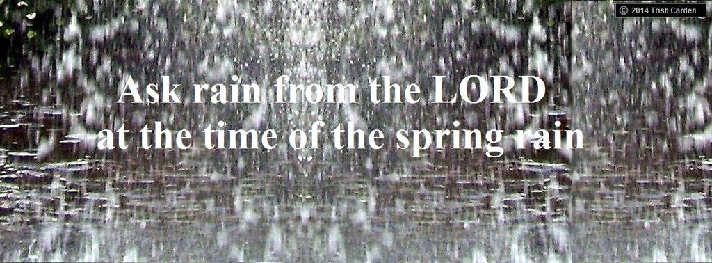 ----------------------------------- ANSWERS -------------------------------- ZECHARIAH Chapters 10 to 14 [10A] Where does each the rain come from?