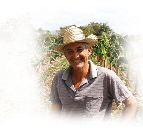 7. Micro Business Start-up Julio is a rice farmer in Cuba.