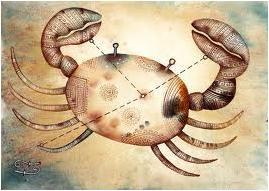 Metaphors Cancer: Greek and Latin for crab, Greek karkinos War, battle,