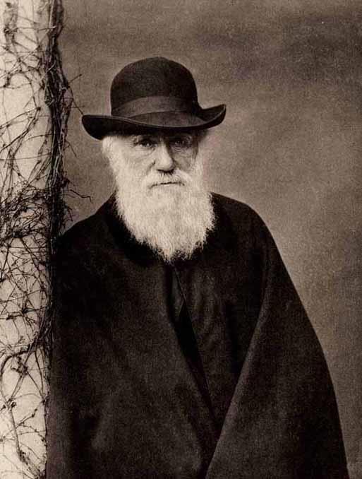 subject which was read to the Linnean Society in July of 1858 Darwin proceeded to publish a 500 page first edition of his cornerstone On the Origin of