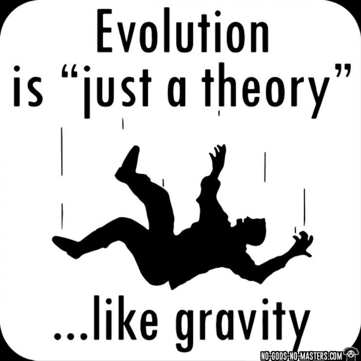 Evolution fact or theory?