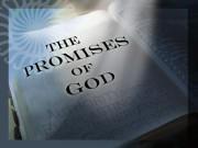 God s Promises to His People that Overcome - Part 1: The Church at Ephesus (Based on the Seven Churches in Revelation) Statement of Purpose for these Essays The Lord is impressing upon me that this