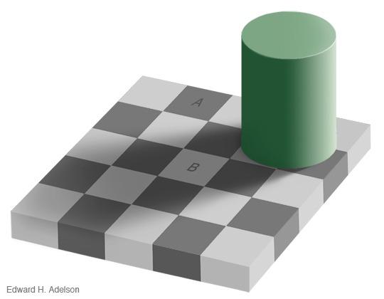 Self-view (sakkāyadiṭṭhi) 11 believe me. The illusion is ex emely convincing, and some people are not easily persuaded that the two squares are identical shades of grey.