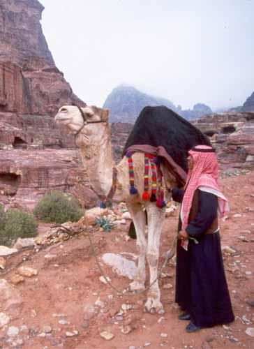 Rural Settlement Pastoral Nomadism Camels & Tents Irrigated Agriculture
