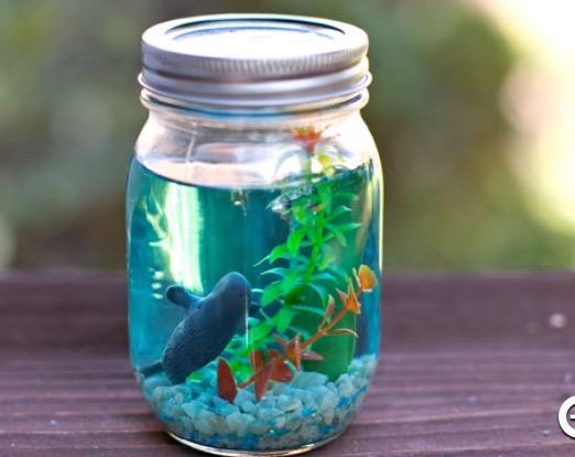 Crafts Mason Jar Aquariums- All Age Groups Materials Needed: Mason Jars or Plastic Bottles(tea bottles work really well) Blue Food Coloring, Gallon Water(tap