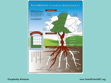 This is an example of what a completed Assessment Tree