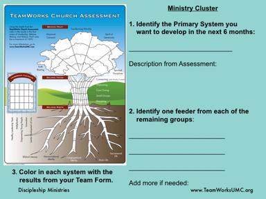 Ask the teams to look at their Assessment Results and identify a Primary System they want to work on in the next six months.