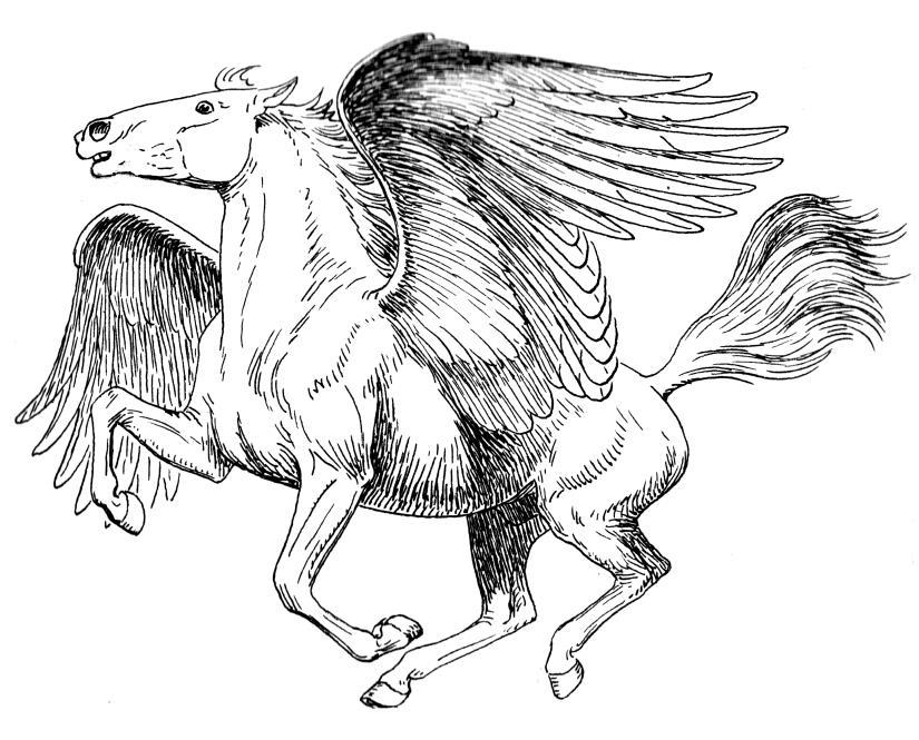 Pegasus vs.