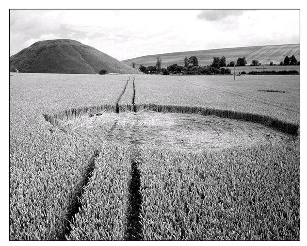 appeared for years and are always in the same fields. The earliest eyewitness account I received was from a farmer who saw circles in the field as a child in the 1920s.