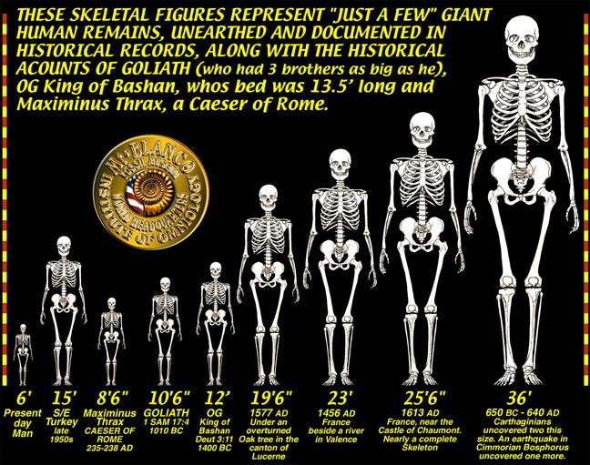 The question we should be asking is why these skeletons are not in our history books. Why are Giants not taught in schools as part of history?