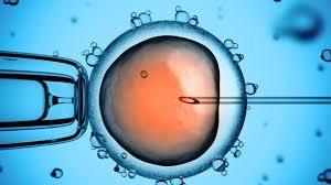 RELIGIOUS ATTITUDES TO MATTERS OF LIFE Religious attitudes to fertility treatment As fertility treatment is a new technology there are no specific teachings about it in the Bible.