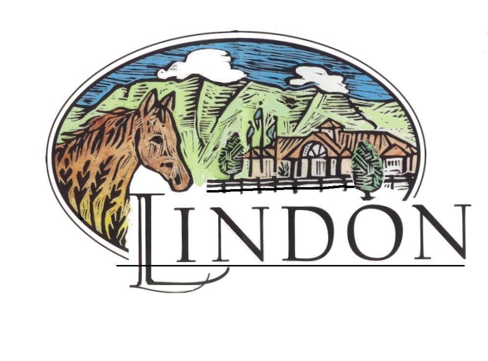 Lindon City Community Profile Section This section of the City s 2010-2011 presents information regarding the City s rich culture, location, population, education, economic development, and