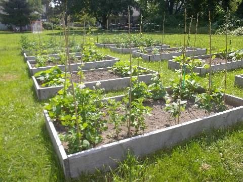 ! Imagine being able to have your own garden plot for the summer for just ten bucks! All that we ask is that you give a portion of your harvest back to St.