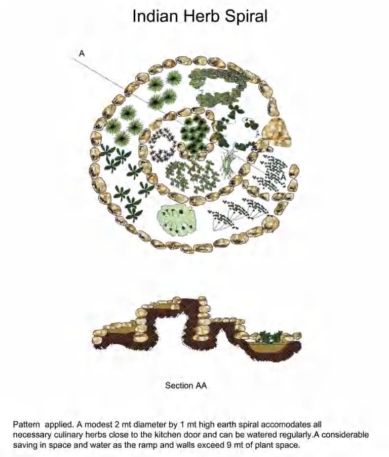 Fig 6.15: Herb Spiral schematic detail Source: Author ZONE 2: The next zone of Permaculture surrounds Zone 1 primarily and has small fruit tree plantation and waste water treatment facility.