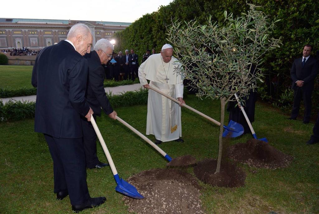 14) Closing Prayer (from the planting of an olive tree last month by Shimon Peres, Mahmoud Abbas, Patriarch Bartholomew and Pope Francis in the Vatican gardens) (Francis) Peacemaking calls for