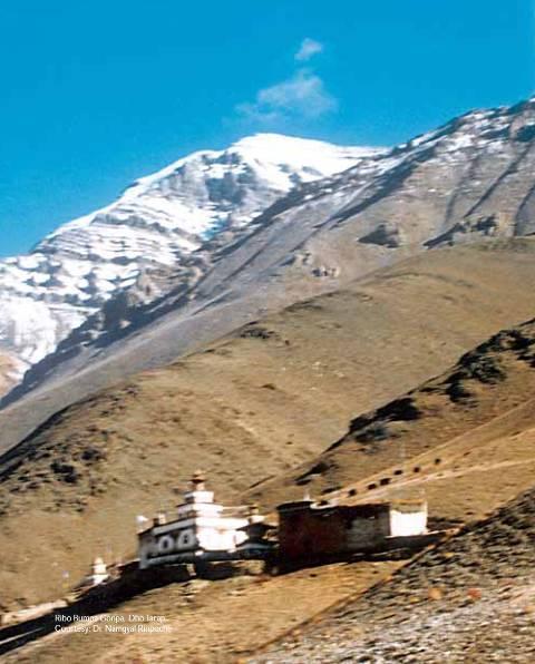 (Ribo Bhupa monastery on a lap of Ribo Buddha mountain, Dho-Tarap, Dolpo) Enthronement Scheduled for August 2011, the next festival will, as mentioned, be even more auspicious as the 7 th