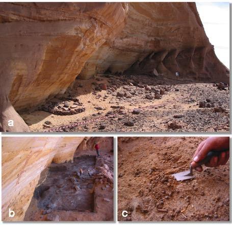 Supplementary Figure 3 (a) view of Takarkori rock shelter, southern Tadrart Acacus (SW Libya), (b) Middle Pastoral layers during excavation, (c) detail of plants remains and Barbary sheep coprolites