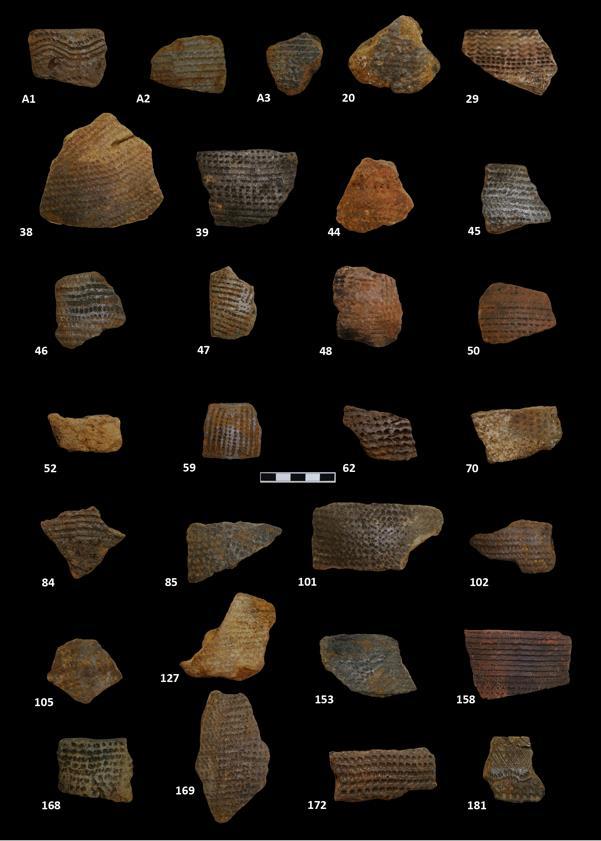 Supplementary Figure 4 Analysed potsherds from Uan Afuda cave.