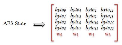 Në secilin rast raundet janë identikë, me përjashtim të raundit të fundit. Çdo raund në AES përbëhet nga veprimet e mëposhtëm: - Zëvendësim bazuar në një byte të vetëm (byte level), SubBytes.