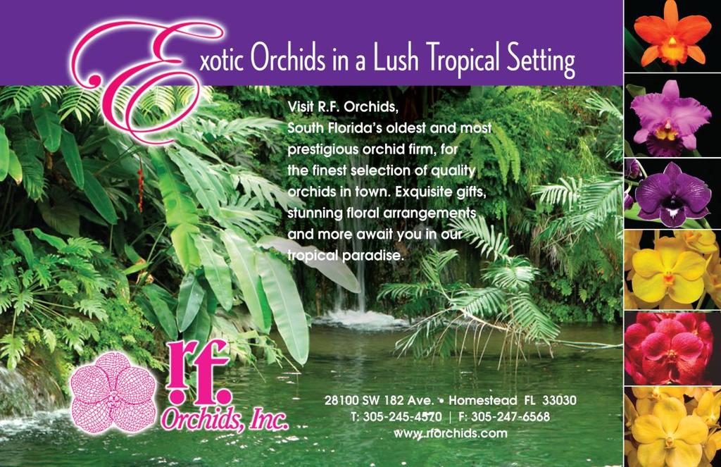 Some of the people who help make The Orchidist possible South Florida Orchid Society Officers President Carlos Cahiz 1