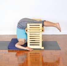 Most recently he has introduced an entirely original aid called Multi Function Prop intended mainly for the practice of shoulder stand and plough pose. I m quite proud of MFP.