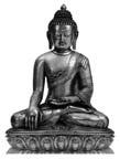 TEN BULLS, TEN BHUMIS Venerable Chi Kwang Sunim Ten Bulls is said to be a Zen interpretation of the ten bhumis. The ten bhumis being stages in the enlightenment of a bodhisattva.
