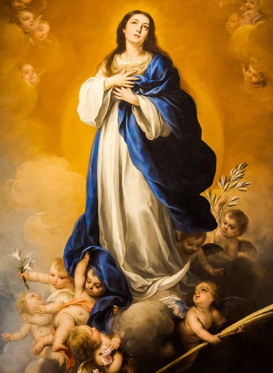Filled with love for the Virgin, he founded the Militia of the Immaculate Mary and, with his preaching and writing, undertook an intense apostolic mission in Europe and Asia.