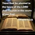 They shall still bear fruit in old age; they shall be fresh and flourishing.