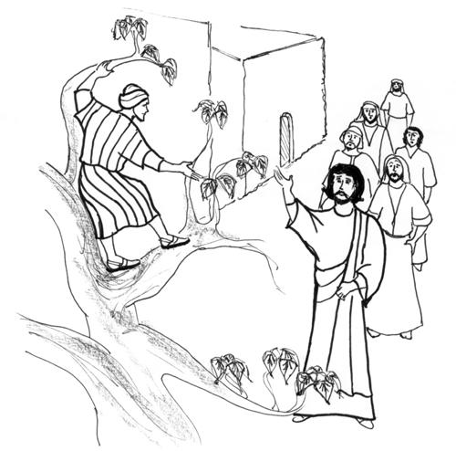 Jesus stopped at the sycamore tree, looked up and saw Zaccheus.