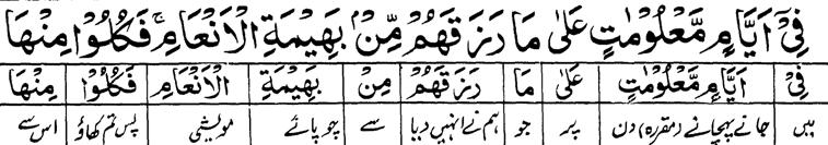 Part: 17 & Page- 28 28 ( Pilgrimage) 28 (Contd) on appointed (specific) days (10th, 11th, 12th, 13th day of Dhul- Hijjâh), over what He has provided of