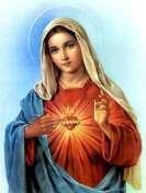 Hail Holy Queen Hail, Holy Queen, Mother of mercy, our life, our sweetness and our hope.