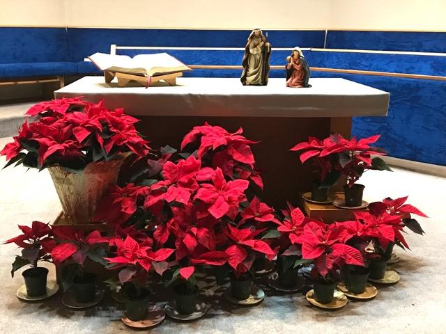 Christmas Poinsettias Your donations made it possible to purchase two dozen poinsettias which decorated our sanctuary during
