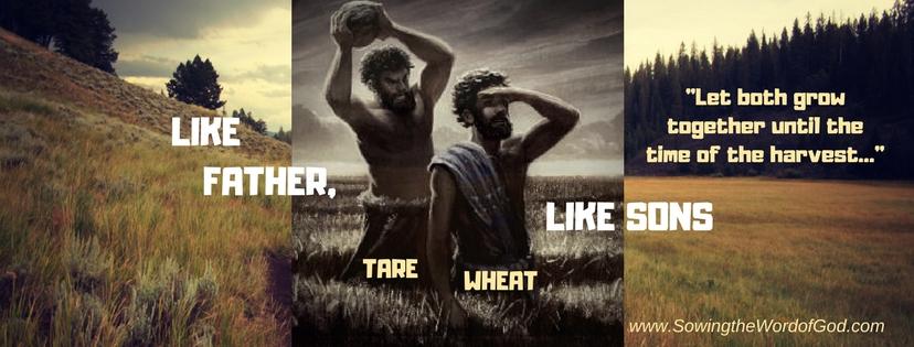 LIKE FATHER, LIKE SONS: WHEAT AND TARE Published by Sowing the Word of God May 3, 2018 Matthew 13:24-30 Another parable He put forth to them, saying: The kingdom of heaven is like a man who sowed