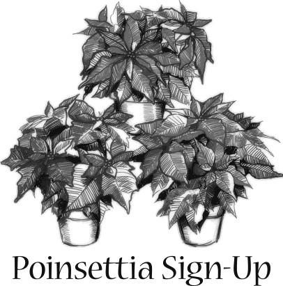 P A G E 9 You may take your Poinsettia home after the service on Christmas Day. Place this form and cash or check (payable to St.
