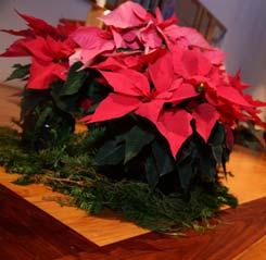 December 2016 CHRISTMAS Words PREPARATION of Peace Page 7 Greening of the Church Saturday, December 17th 8:30 am - Noon We will gather to get the church ready for Christmas Eve.