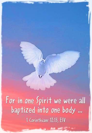 Epistle: 1 Corinthians 12:12-31a (In Christ, we are one Body with many members.) The body is a unit, though it is made up of many parts; and though all its parts are many, they form one body.