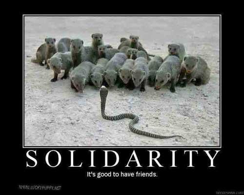 ü SOLIDARITY We are one human family whatever our