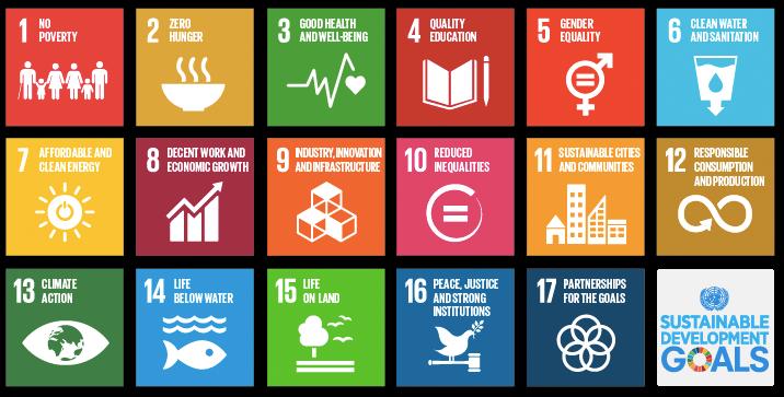 sustainable UNDP goals