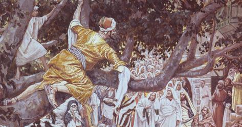 Zacchaeus in the Sycamore Tree, by James Tissot MAY 20 26 Matthew 21 23; Mark 11; Luke 19 20; John 12 Behold, Thy King Cometh As you read Matthew 21 23; Mark 11; Luke 19 20; and John 12, think about