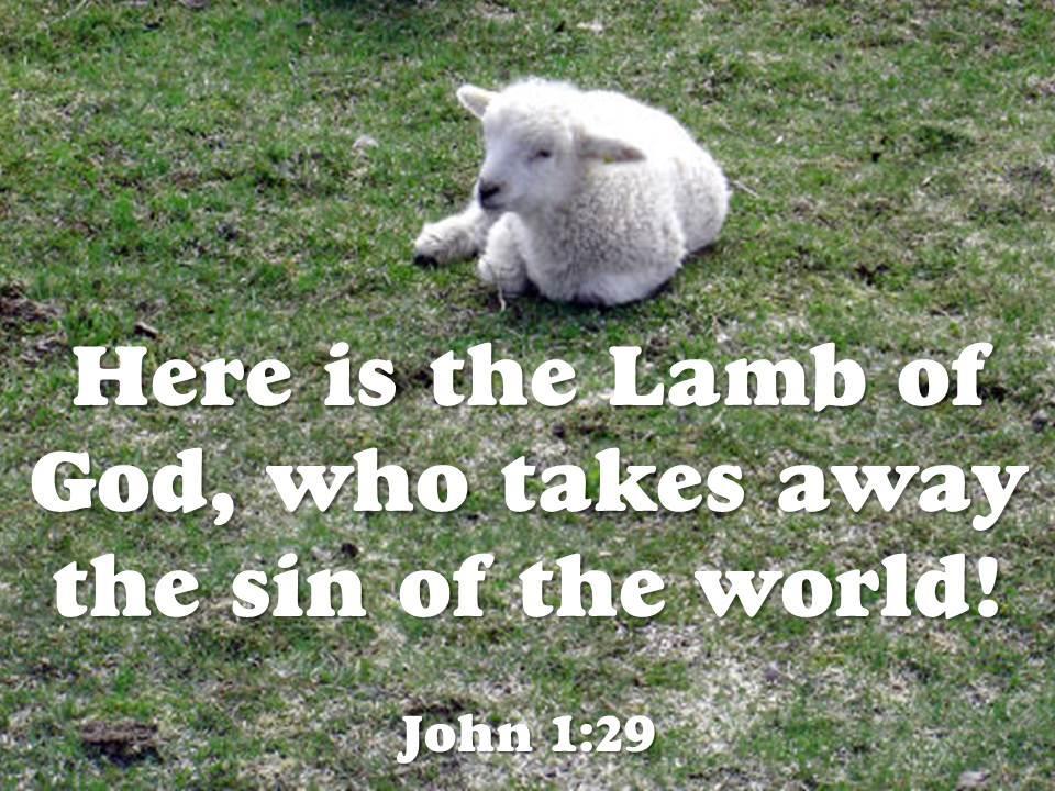 L is for Lamb Starting with the words to Mary had
