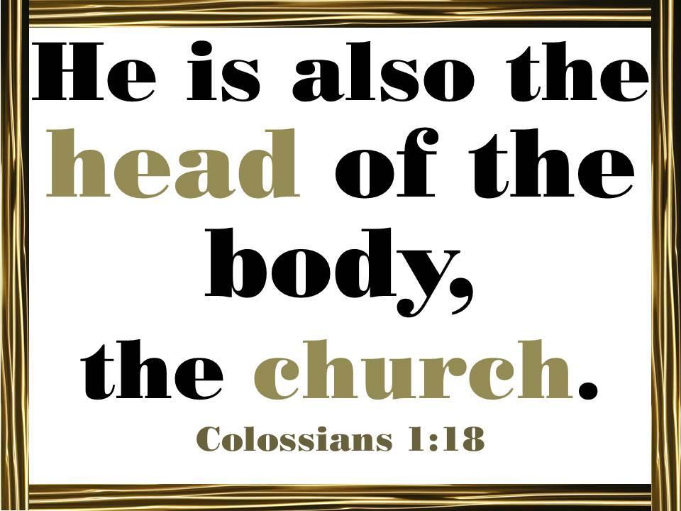 H is for Head How are a body and the church alike? Different?