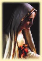 " The pilgrim virgin is a statue of Mary, Our Lady of Fatima, which, every two weeks, is transferred to a different family s home.